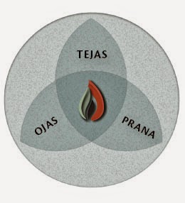  Understanding Prana, Tejas, Ojas: Your inner Energy, Fire & Immunity.