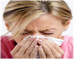Cold & Flu