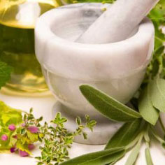 Herbal Support
