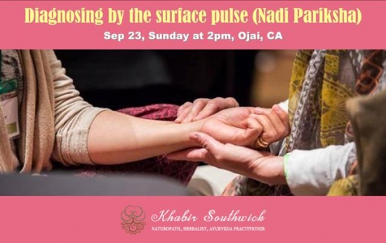 Diagnosing by the Surface Pulse (Nadi Pariksha)
