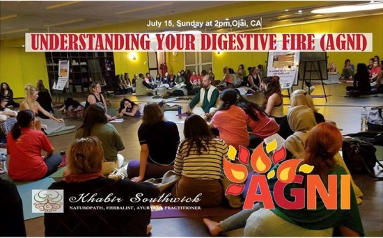 Understanding your Digestive Fire (agni) and how to improve it.