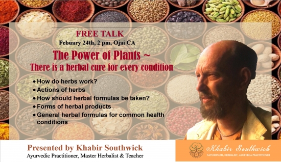 The power of plants: There is an herbal cure for every health condition.