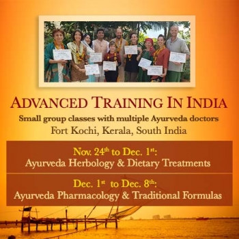 8-day 200 hr workshop: Herbal Pharmacology & Traditional Formulas of Ayurveda
